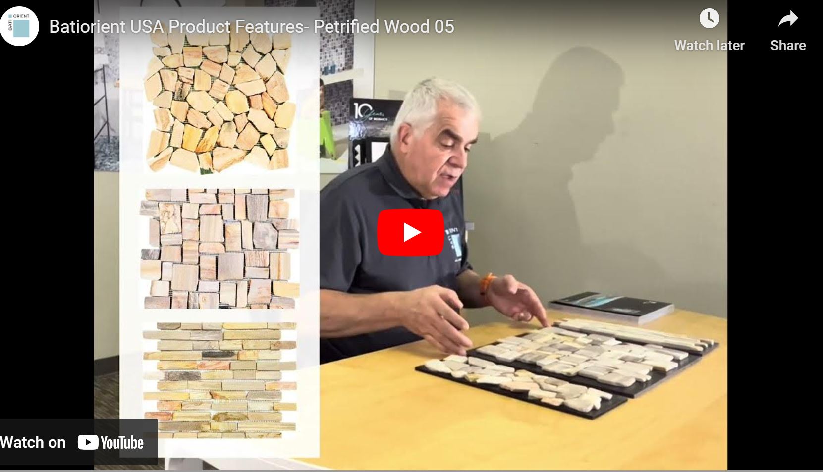 Product Features- Petrified Wood 05
